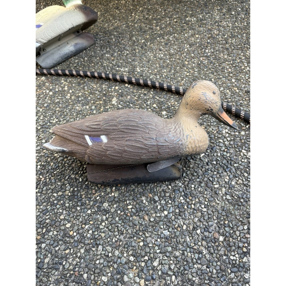 Vtg Brown Duck‎ Hen With Purple And White Striped Area On Wings Duck Decoy